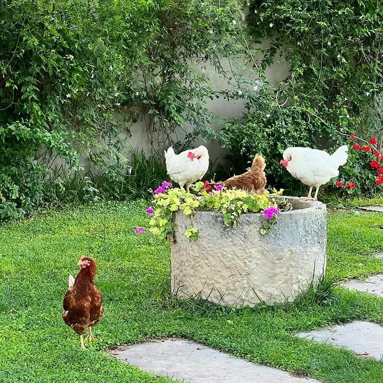 Villa Terre di Senia Chiaramonte Gulfi